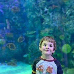 Meet your Posher, Morgan